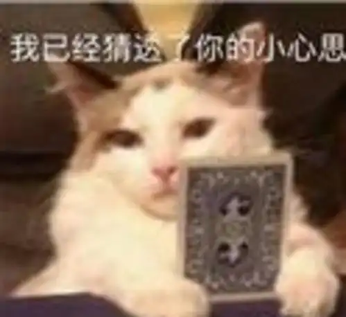 一脸糊相也能火后台这么硬的么