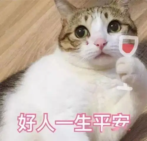 猫咪表情包接下来你是不是要凶我了
