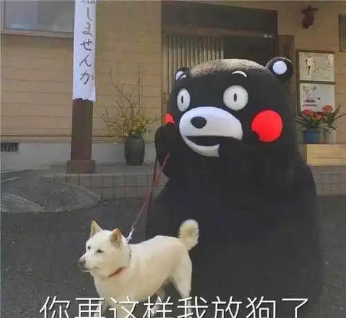 狗狗被主人伤害后选择顺从或逃避,从三点表现出对铲屎官的忠诚
