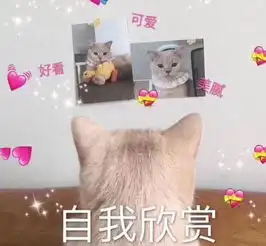 让人哭笑不得的表情包我作为中华人民共和国的女人,绝不认输
