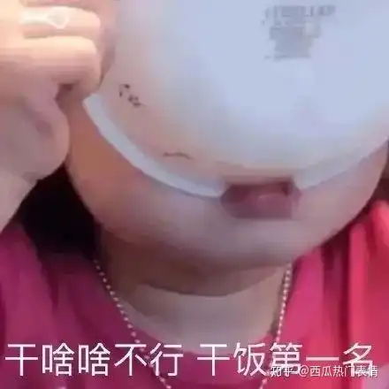有什么关于干饭的表情包
