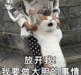 美腿精刘诗诗倪妮是走出来的走路有这个坏习惯,难怪你腿粗