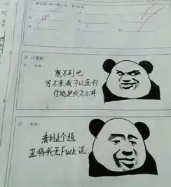 优秀的学生试卷斗图,不会写题就画表情,老师看了举起40米大刀
