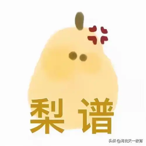 那些停招的专业现在都怎么样了
