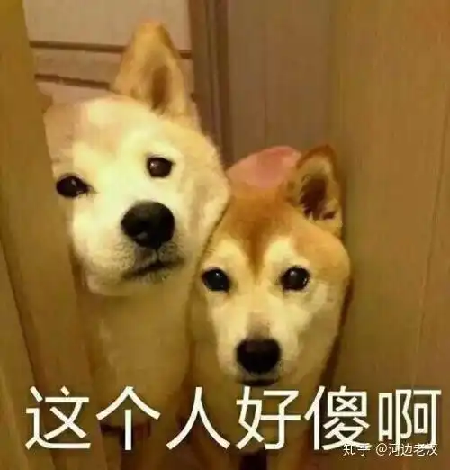 傻狗表情包什么意思打喷嚏