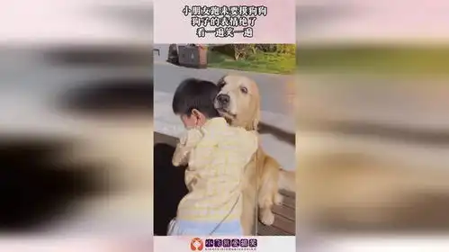 小朋友跑来要摸狗狗,狗子的表情绝了,看一遍笑一遍
