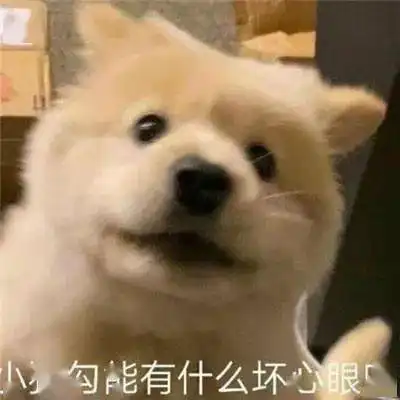 小猫咪到底有没有坏心眼呢表情包
