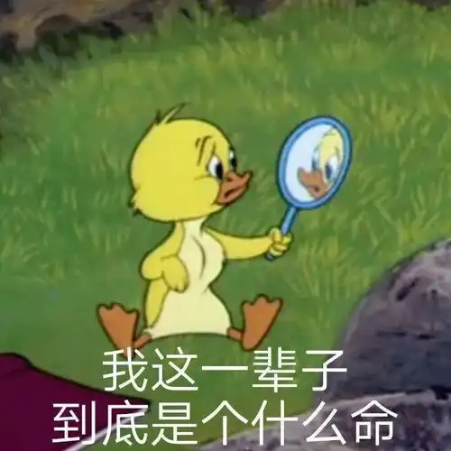 那些拖延癌晚期的大学生,最后怎么样了
