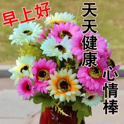 美丽的鲜花早上好表情包,鲜花送给远方的您,祝您健康快乐
