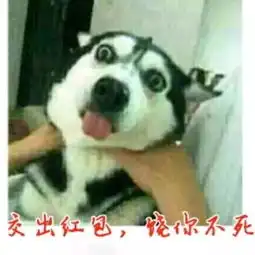 马院定制版新年表情包,还不收藏
