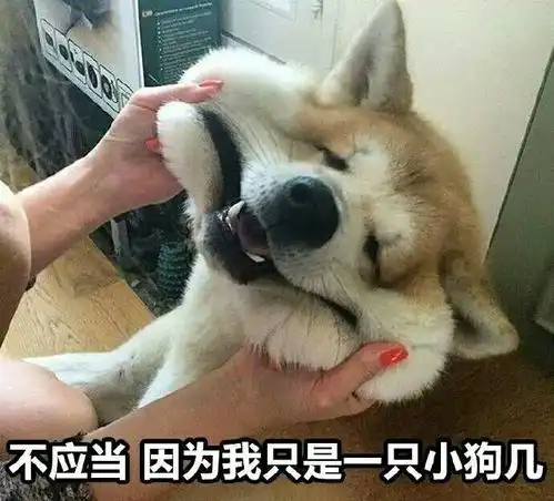 面临人生的分叉口,该如何选择
