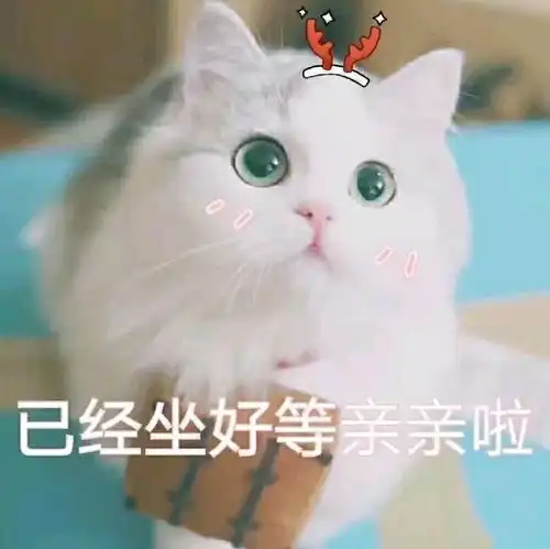 有没有给女朋友亲亲的表情包
