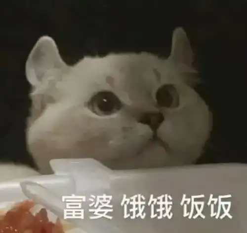 优化近乎于无女玩家露脸喊话剑三,直言求你给阿姨开个价吧
