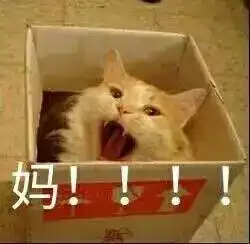 妈我到底是不是你亲生的
