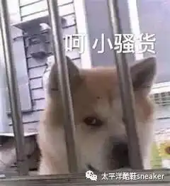 怎么看待穿假鞋的人这是我520在知乎看到最真的回答演唱会
