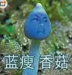 爆笑2016年最火流行语,翻译成粤语潮汕话客家话居然是这样
