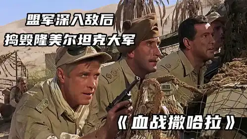 二战经典战争片,盟军小队深入德军坦克基地,炸炸炸
