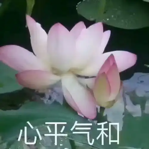 电商实训人湖南商务职业技术学院