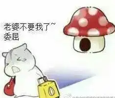 妻奴小仓鼠表情包
