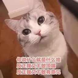 国关推广这年头,先飞的都不是笨鸟
