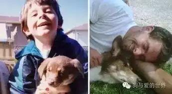 泪奔,狗狗的第一张和最后一张照片
