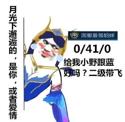 王者荣耀国服表情包
