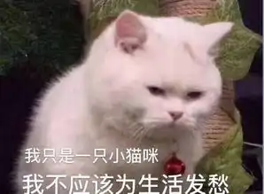 谈谈我们和宿管阿姨之间不得不说的故事
