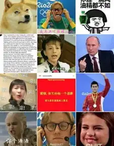 骂孙杨的辣鸡霍顿ins被网民表情包占领
