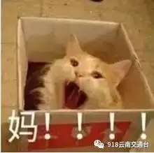 爸妈上完厕所开车就跑7岁男孩高速上拔腿狂追,结果

