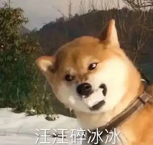 搬运微博,暴躁的张星星爸爸,哈哈哈
