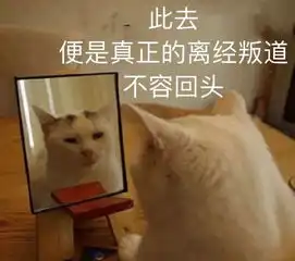 干货专业介绍之非医学类
