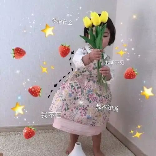 表情sir贱人贱人
