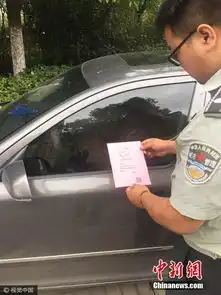 合肥交警制200份表情包罚单尽显趣味创意
