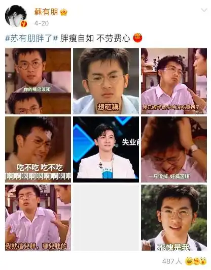 苏有朋五官变化大被嘲,本人亲自下场回怼,但他可不仅仅是因为胖
