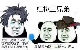三国杀界山包上线,邓艾偷学天妒妈妈再也不担心我判红桃了
