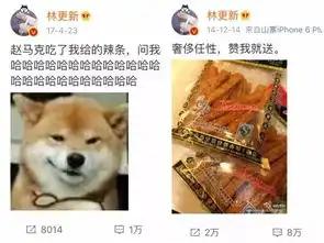 冒着38度高温,宁德这一女汉子去小卖铺狂买30包辣条,用绳命告诉你哪款才是挚爱
