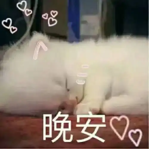 沙雕表情一只小可爱向你跑来
