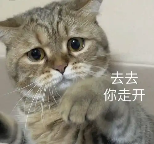 搞笑gif我全做对了,一分都没扣
