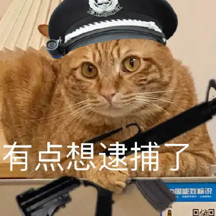 iqoo8将推出曲面版本,曲面屏手机有哪些优点
