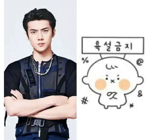 exo分享200514世勋bubble上用的这套表情包,真的不是照着他自己画的吗
