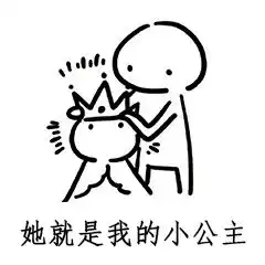 表情包这就是我的小公主
