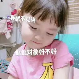 单身狗专用撩人表情包春眠不觉晓,处处对象好不好
