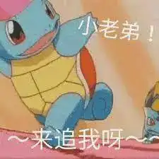 前方大量表情包出没杰尼龟咋就变成憨批代言人了
