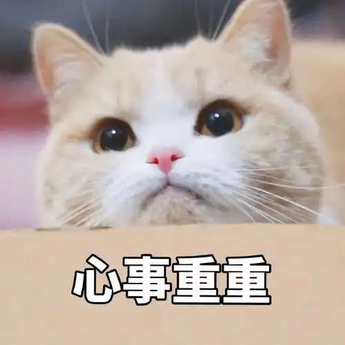 表情包我讨厌用情侣头像的人
