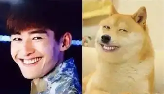 蒋劲夫姚明张学友张翰陈晓王俊凯明星们的搞笑表情包
