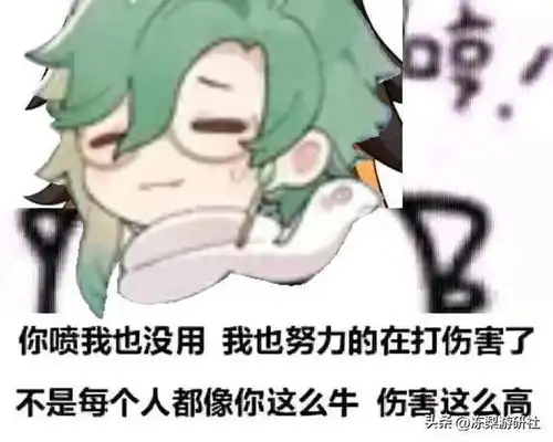 原神白术技能分析,盾奶能否替代钟离草体系适配性还不错
