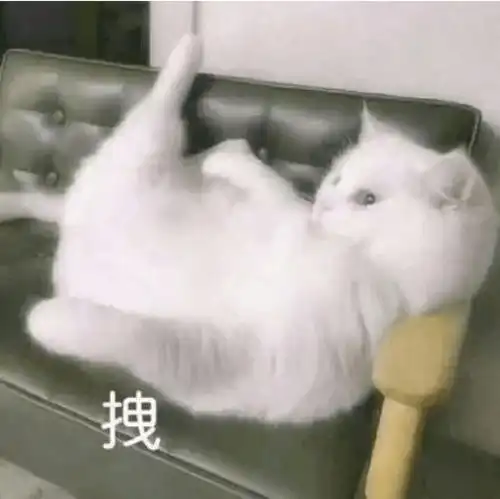 1件上衣3件下装高级
