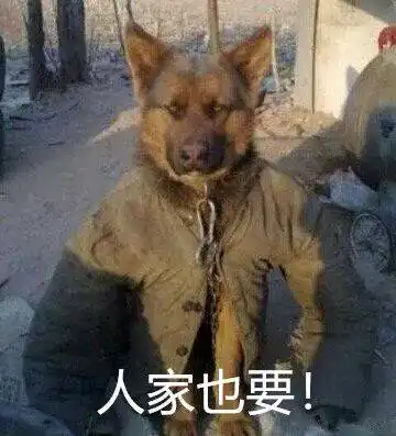 哇威远这哈儿下雪了内江呢
