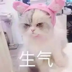 斗图小表情3.24
