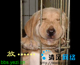 搞笑新版qq表情
